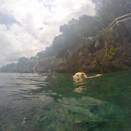 Alexis Cliff Dive Resort Panglao Eksteriør billede