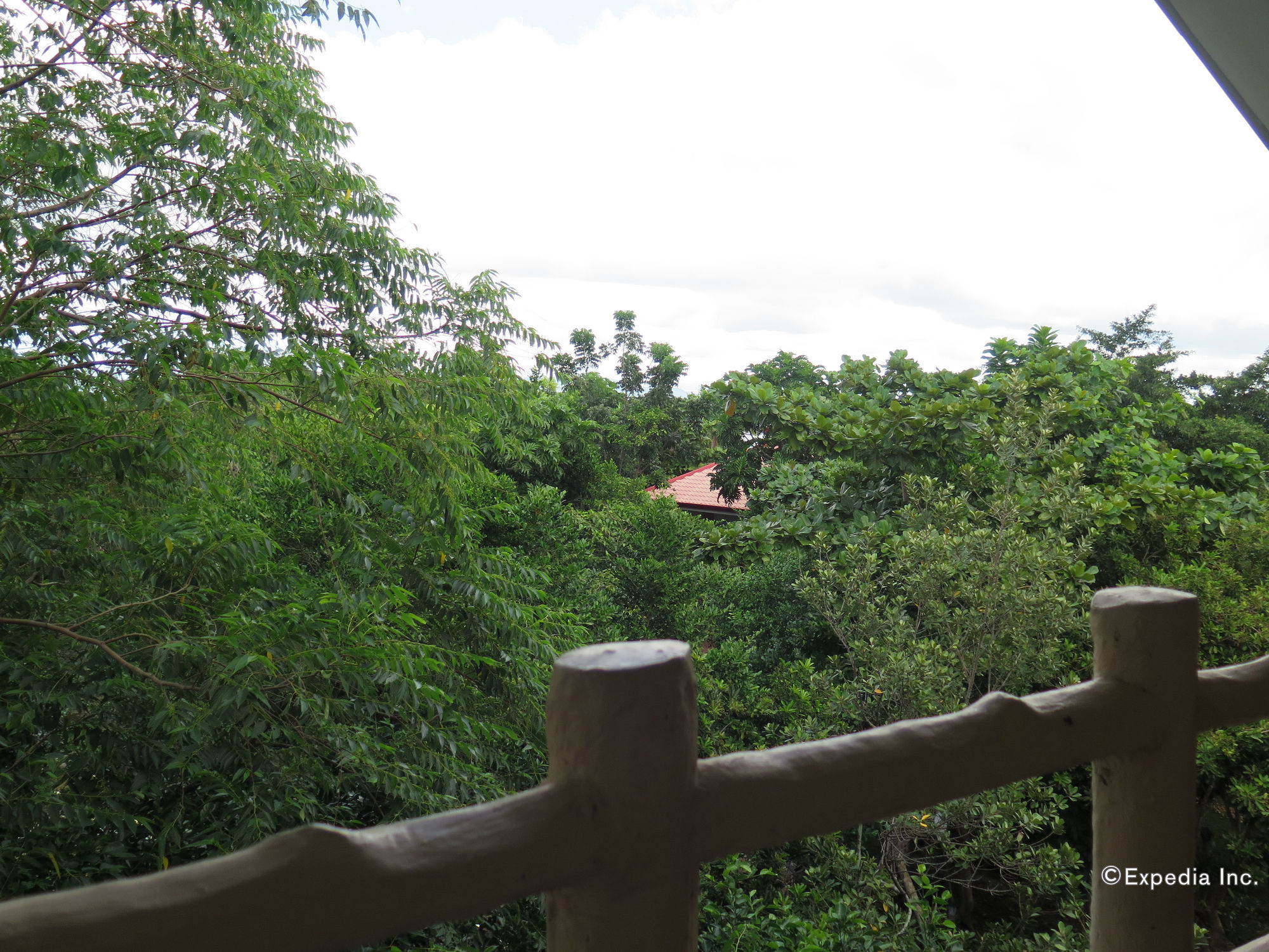 Alexis Cliff Dive Resort Panglao Eksteriør billede