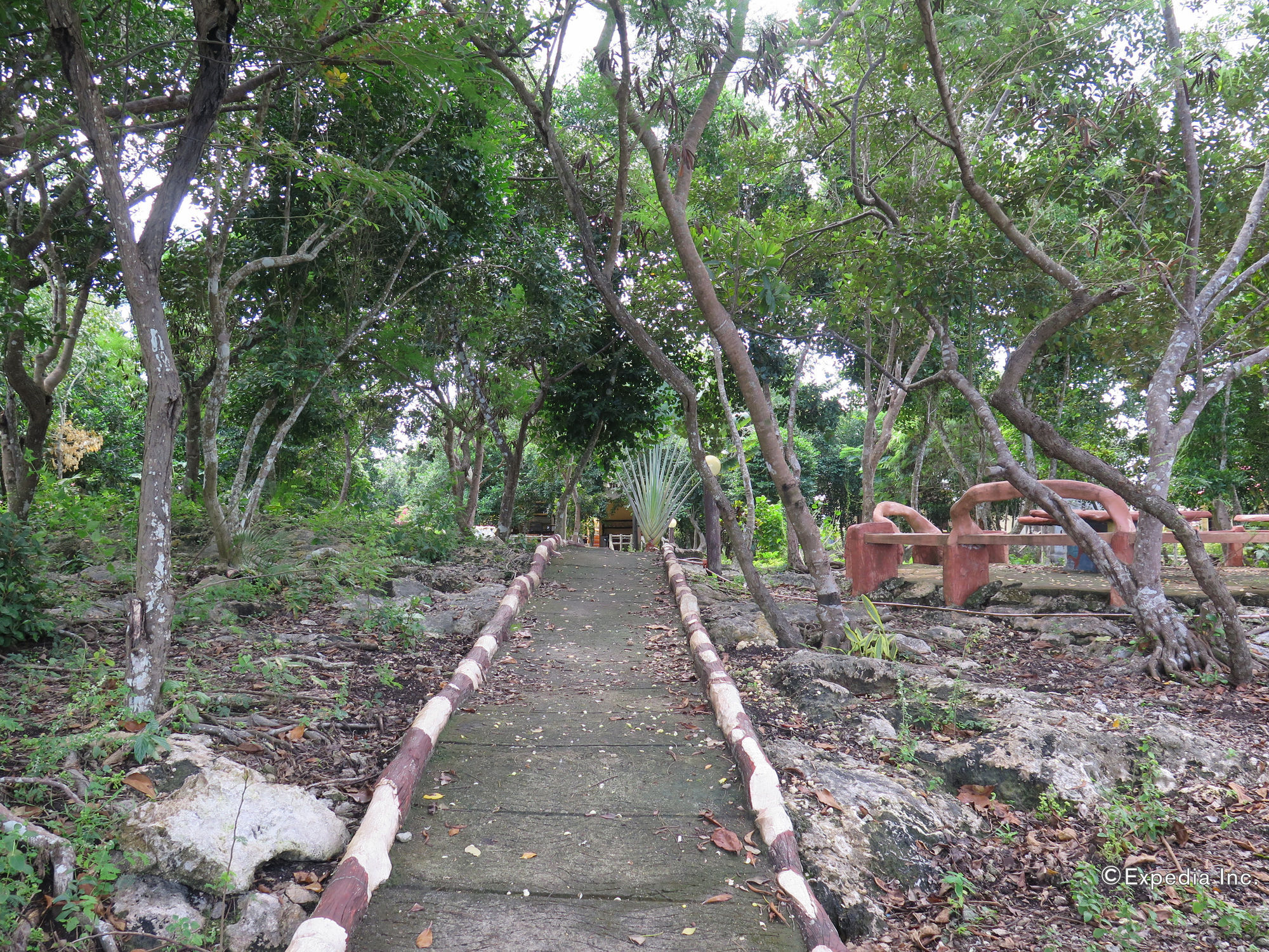 Alexis Cliff Dive Resort Panglao Eksteriør billede